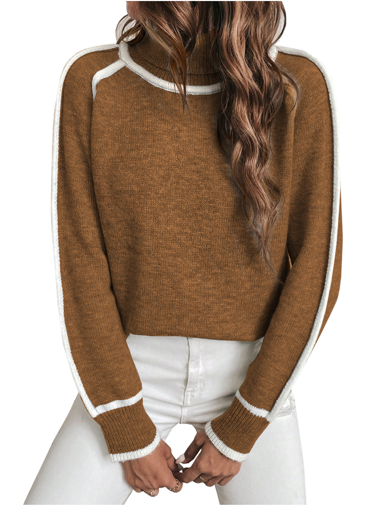 Fiora | Maglione dolce con colletto alto
